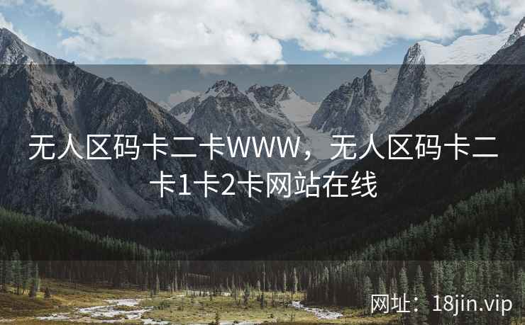 无人区码卡二卡WWW，无人区码卡二卡1卡2卡网站在线